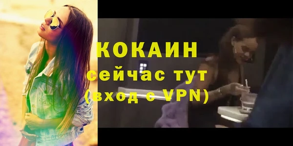 гашик Дмитровск