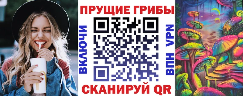 Псилоцибиновые грибы Cubensis  Купить где  Мурино 